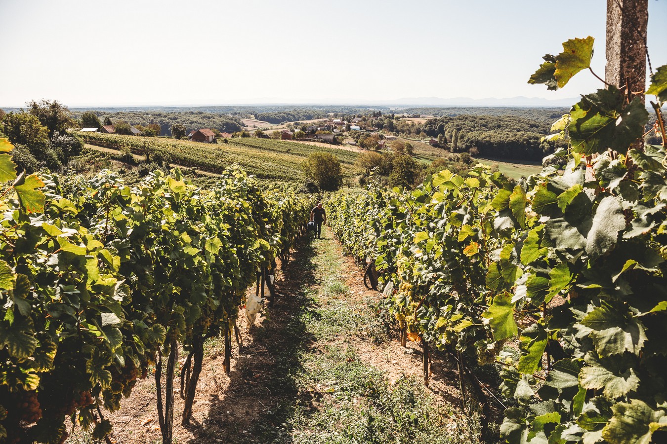 HUMANO I VESELO Radio gorice za Katružu – humanitarna akcija za bolesne Međimurce