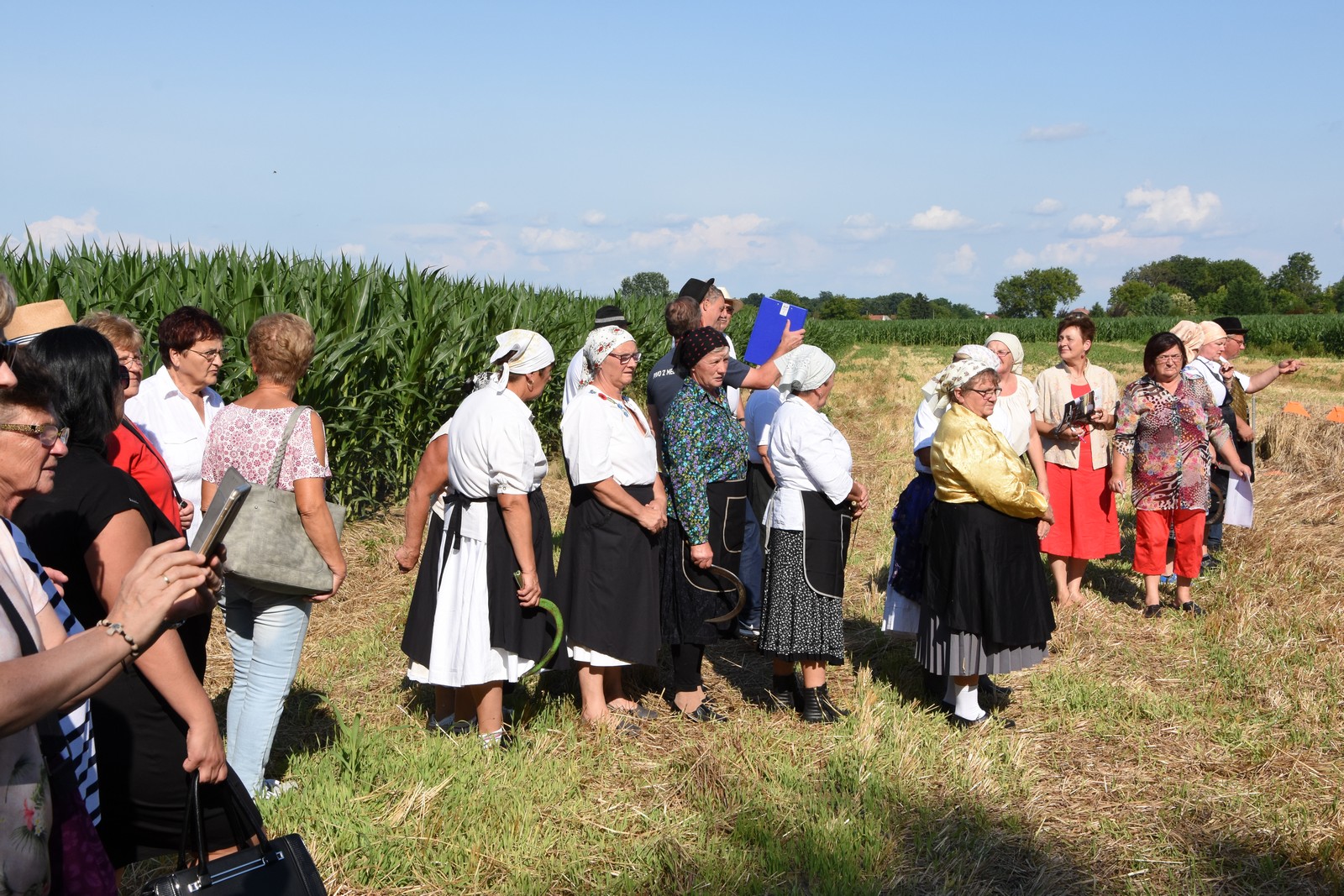 Mamičina žetva u Pušćinama