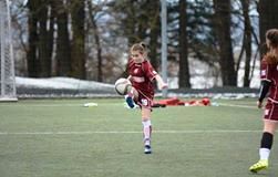 nikolinaresetar873344