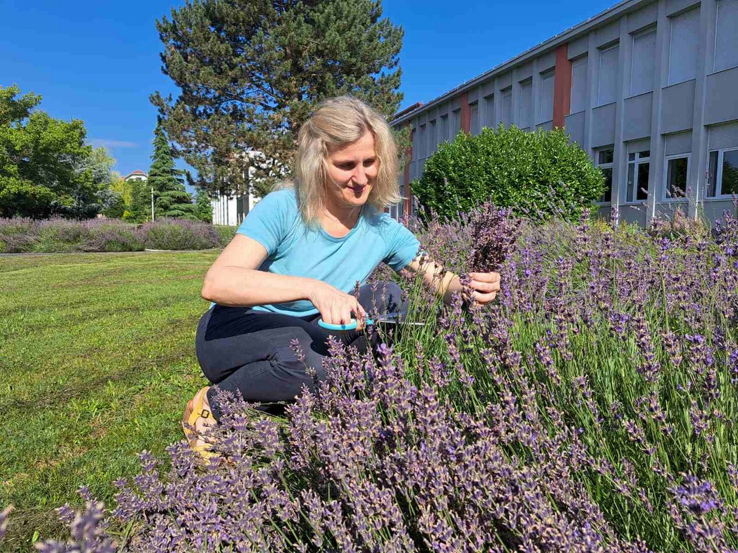 Mirisni vrt ETŠ Čakovec