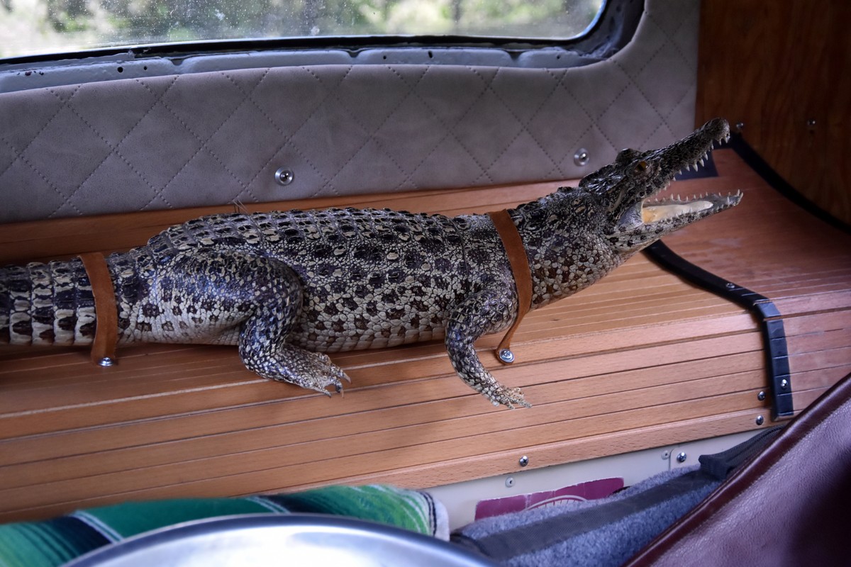 Trash&Burn 16.6.23. Trash&Burn 16.6.23.