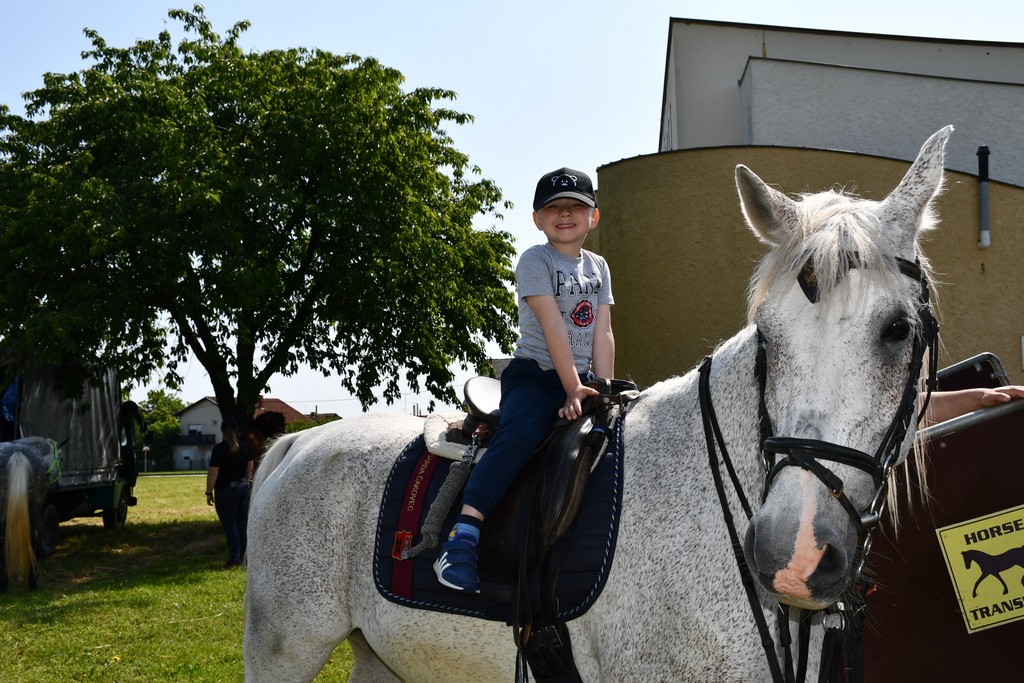VIDEO I FOTO Međunarodno konjičko druženje okupilo brojne uzgajivače konja iz SZ Hrvatske te Slovenije i Austrije