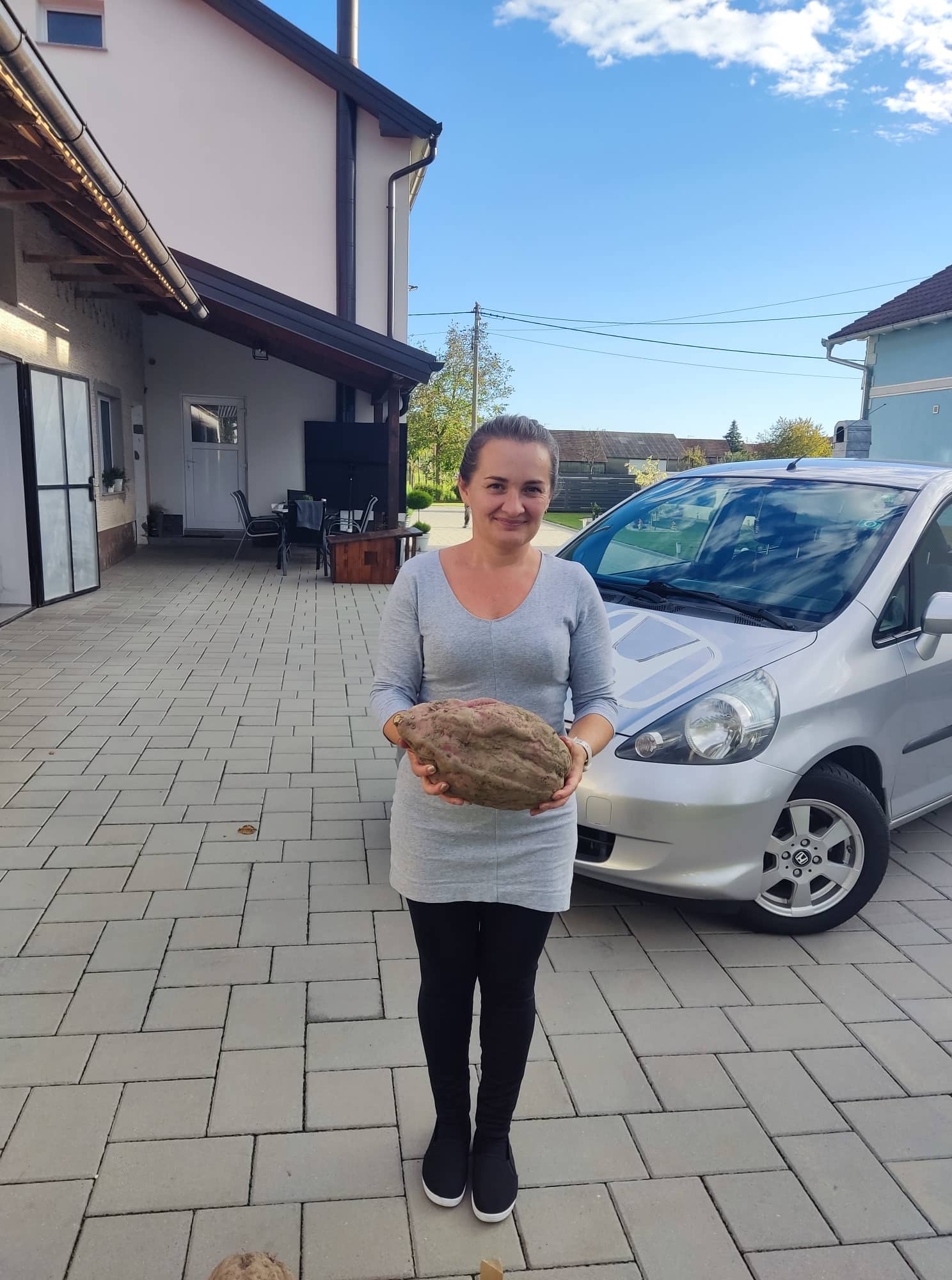 Iskopan batat težak 3,6 kilograma