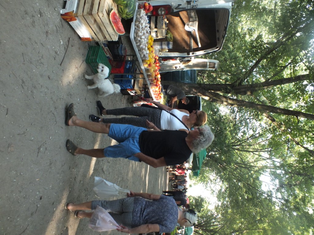 Image 5810919 (auto)