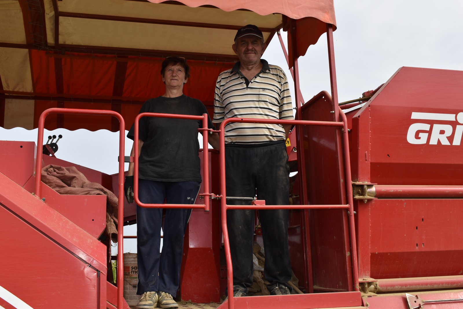 BERBA KRUMPIRA NA POLJIMA OBITELJI DRK Urod ispod prosjeka