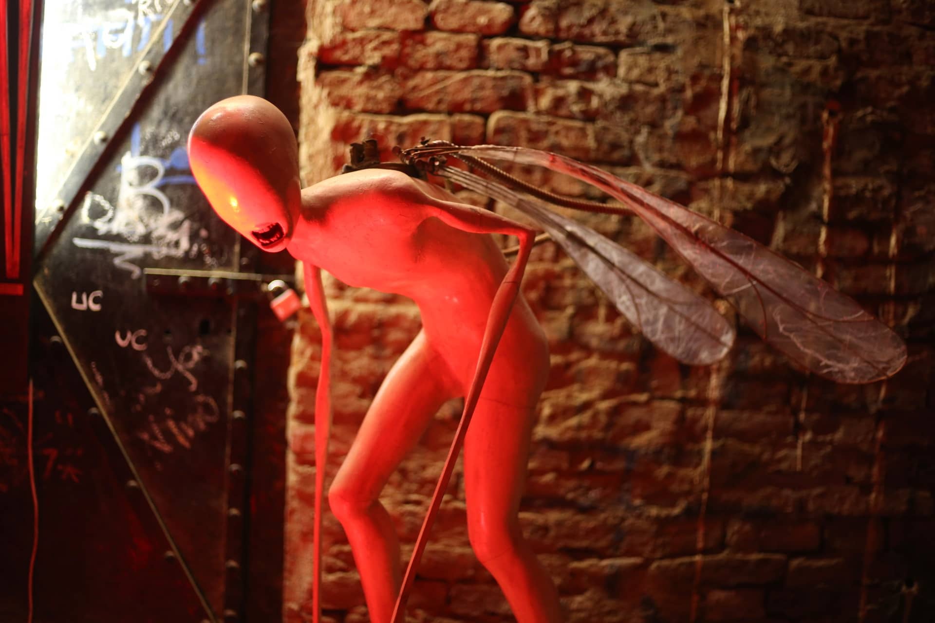 Otvorenje Zrinski art festivala