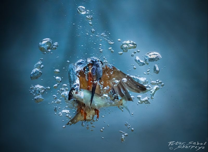 1200469681666610178027120470155