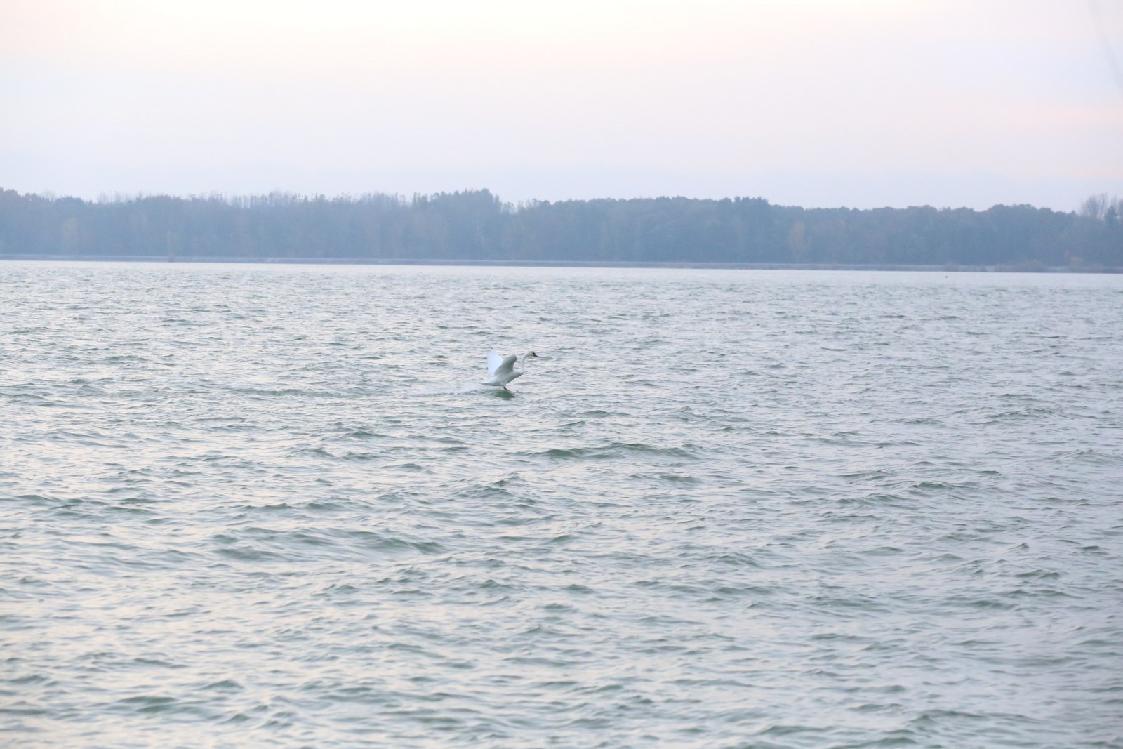 KLIKOM PO MARINI Građani vole nedjeljno popodne provoditi na preloškoj Marini