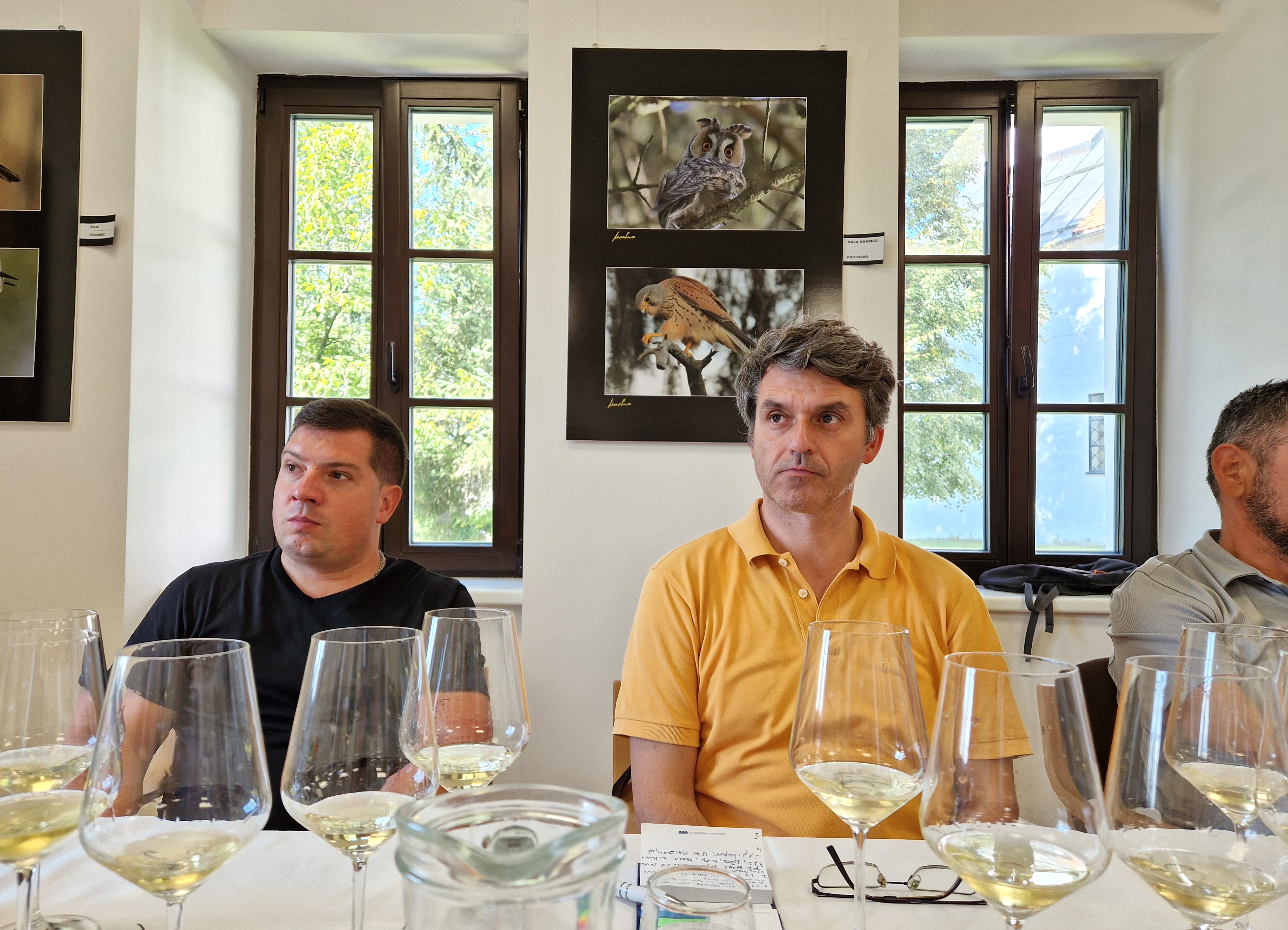 MEĐUNARODNA RADIONICA I DEGUSTACIJA Kušačima je bilo ponuđeno pet setova kvalitetnih vina