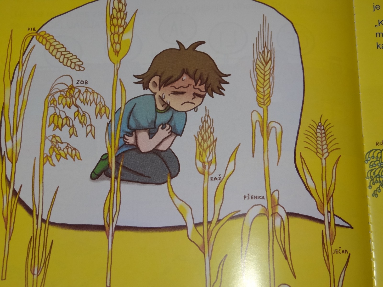 FOTO Udruga oboljelih od celijakije SZ Hrvatske izdala je slikovnicu ‘Patrik i prijatelji u potrazi za pekarnicom’ FOTO Udruga oboljelih od celijakije SZ Hrvatske izdala je slikovnicu ‘Patrik i prijatelji u potrazi za pekarnicom’