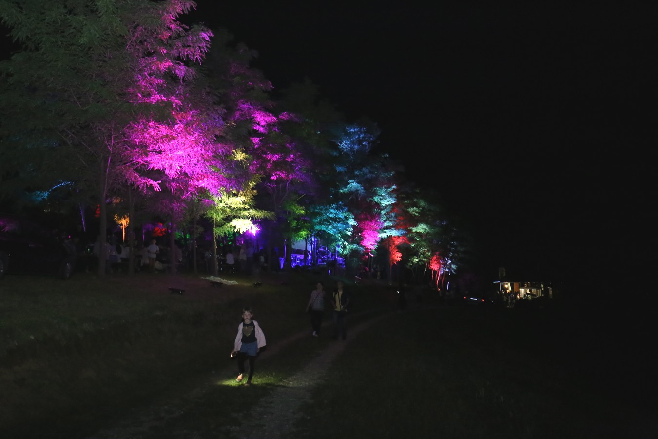 Odličan koncert Vatre u predivnom ambijentu Mađerkinog brega