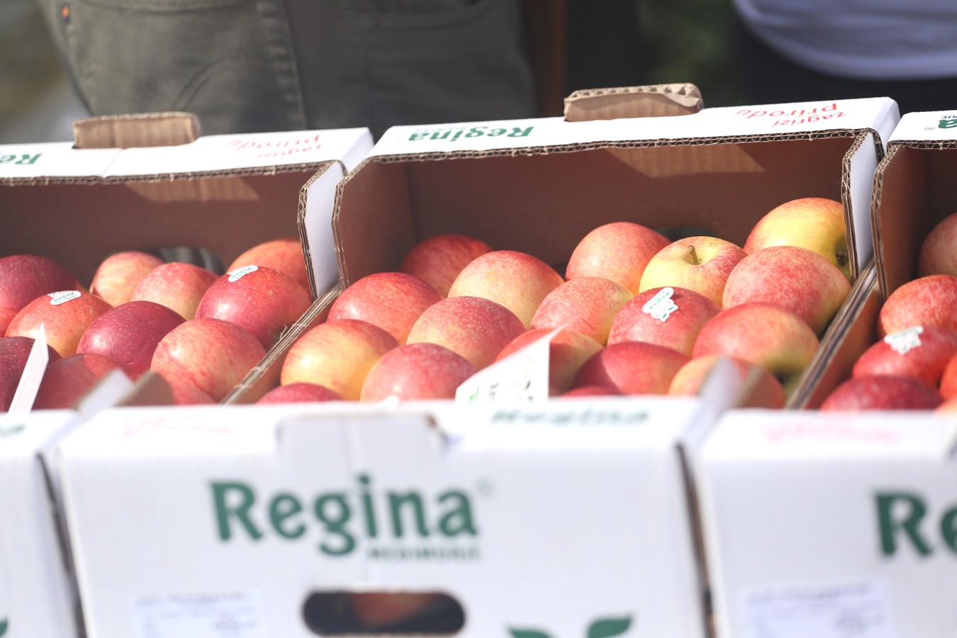 FlashMOVE: Zajednički ples u centru Čakovca