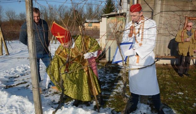 Vincekovo, Donja Dubrava, 2024