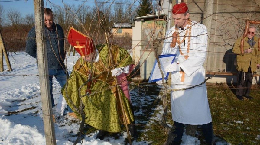 Vincekovo, Donja Dubrava, 2024 Vincekovo, Donja Dubrava, 2024