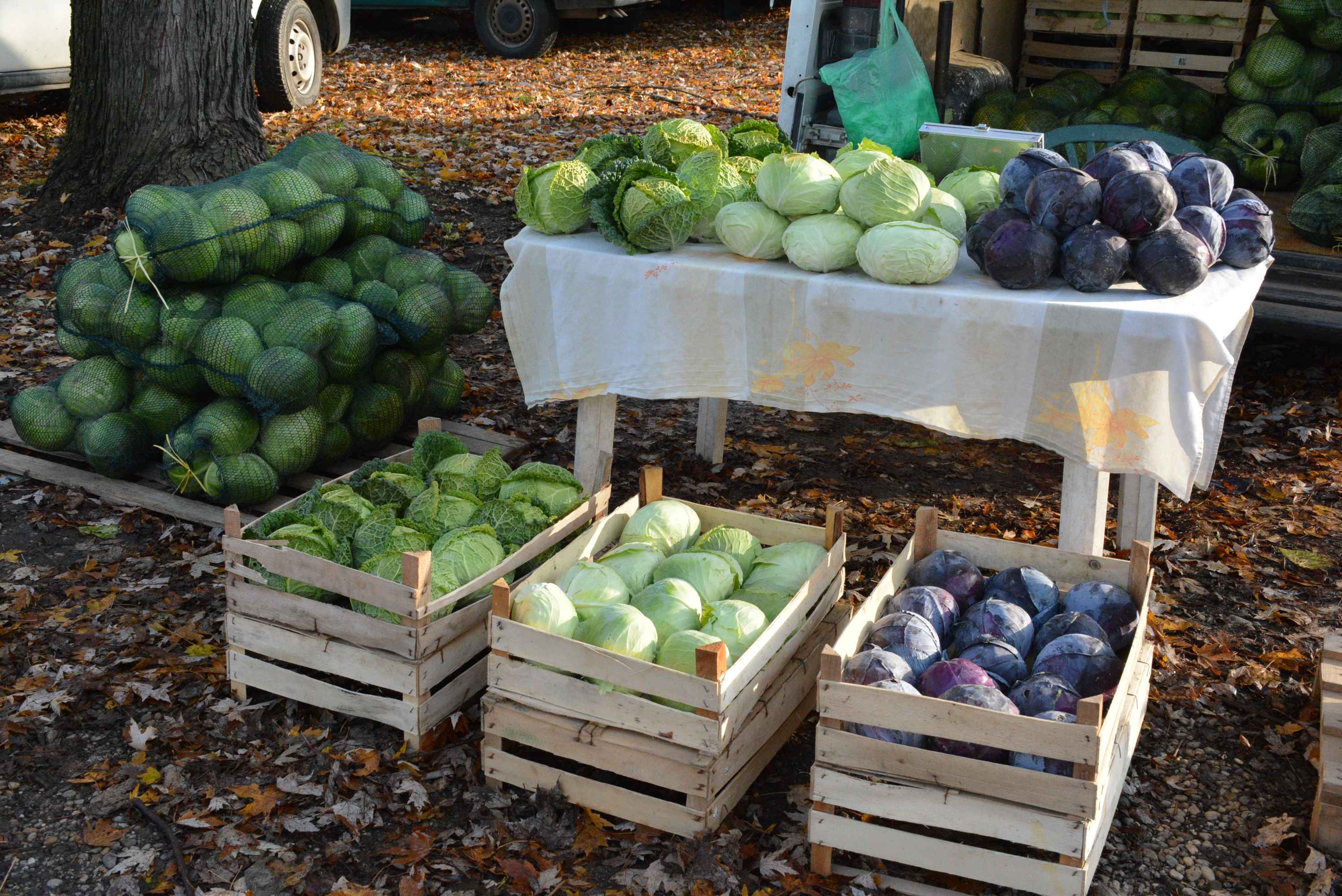 FOTO Čakovečki sajam odolijeva zimskoj hladnoći – posjetitelji hrabro istraživali bogatu ponudu unatoč mrazu na automobilima