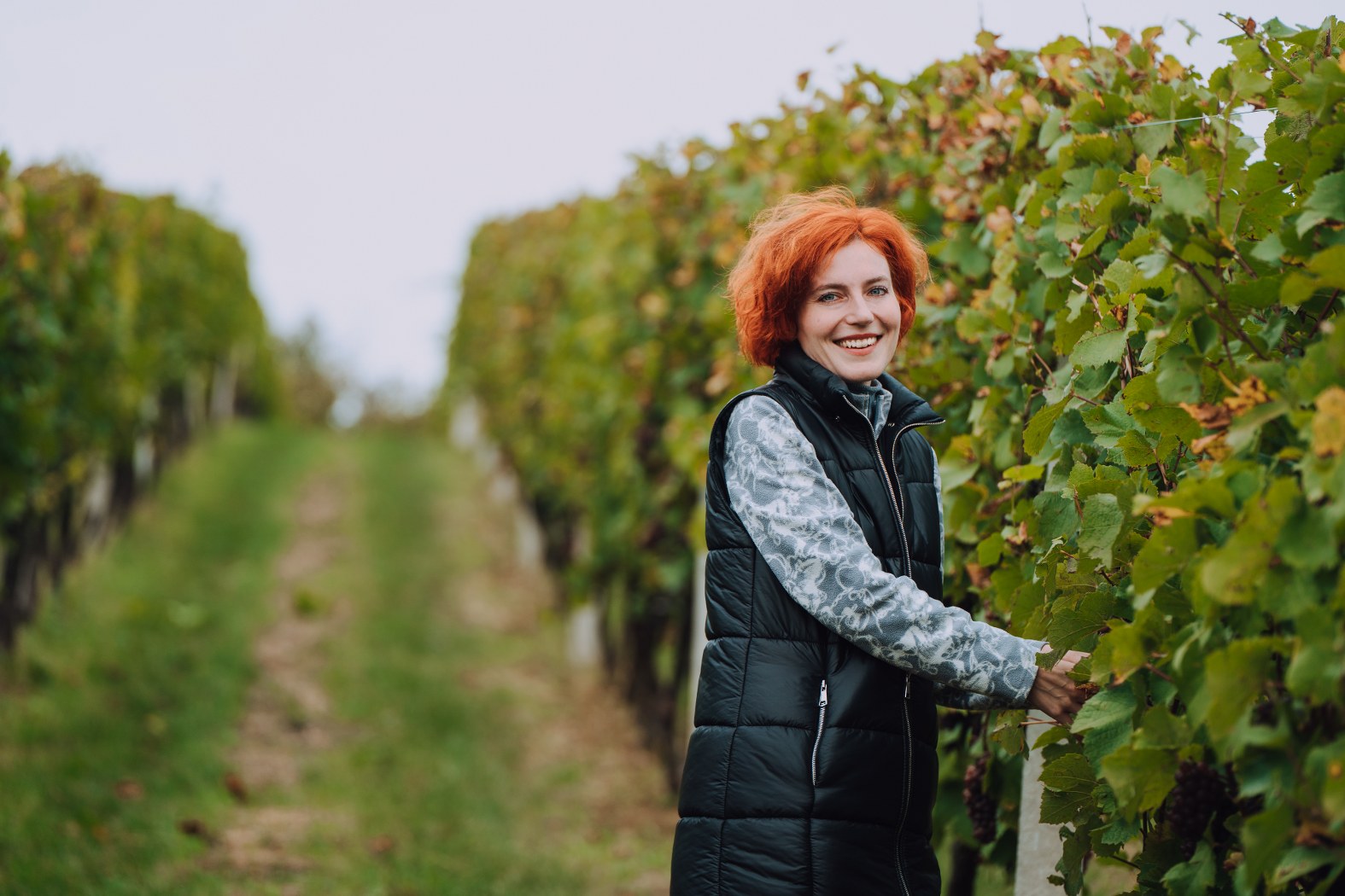 Image 5076542 (auto)