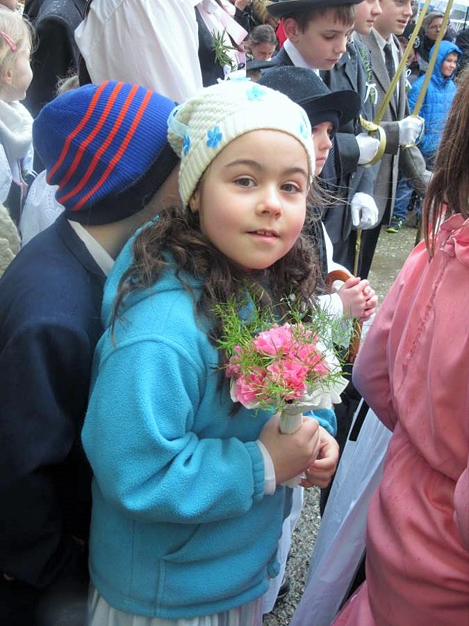 335914390img2407optimized806306