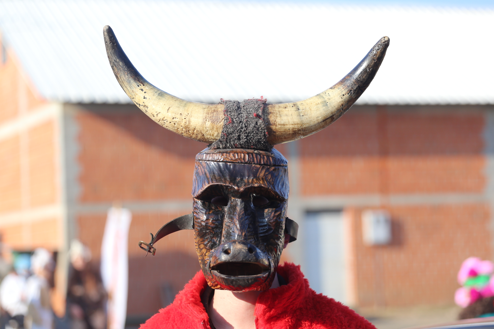 Krenula sezona maškara u Međimurju – Podturenski fašnik prvi na redu