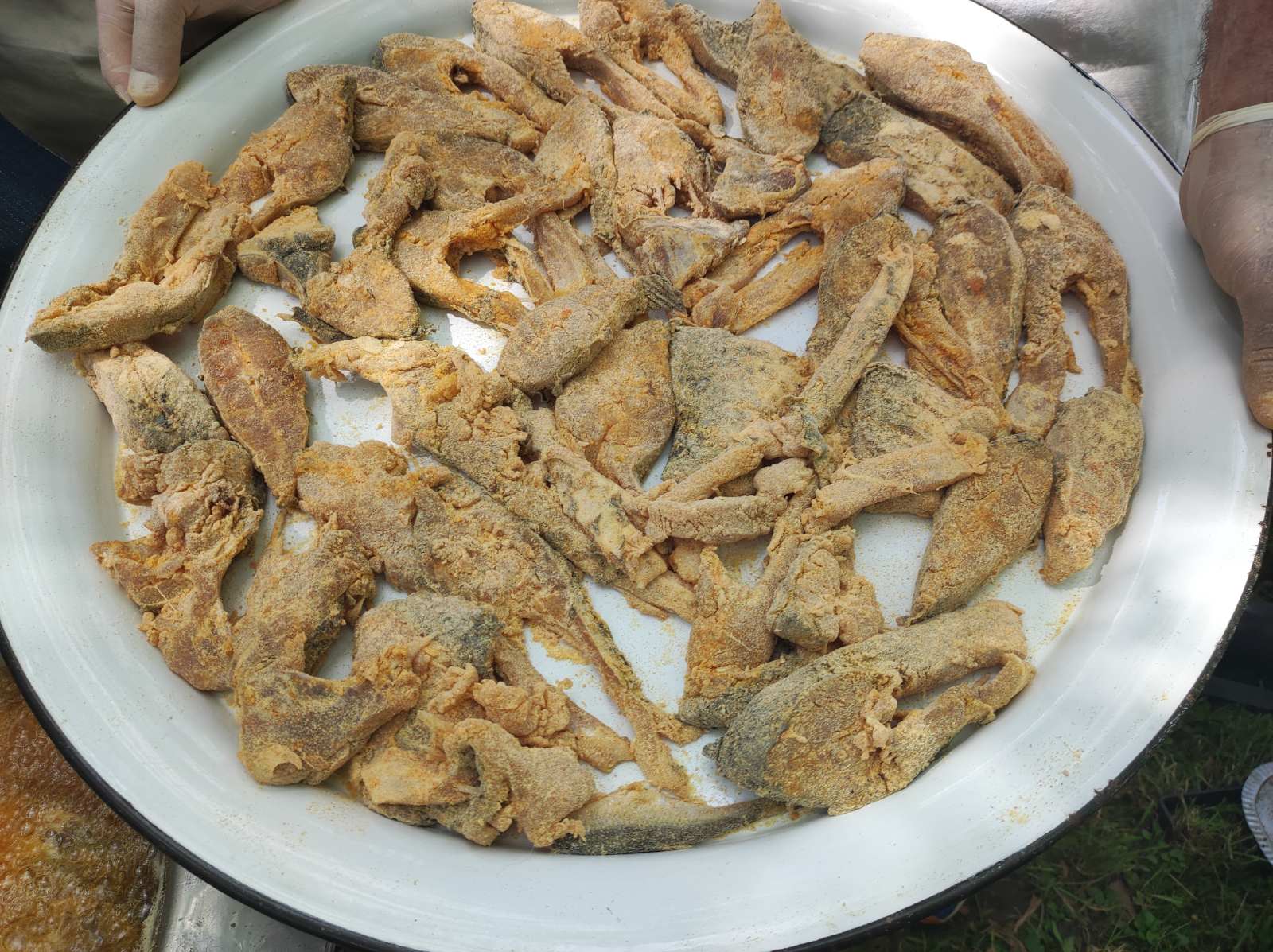 FOTO I VIDEO Kotoriba: Miris ribe, fina hrana i pravi užitak na Danima ribe i šibe