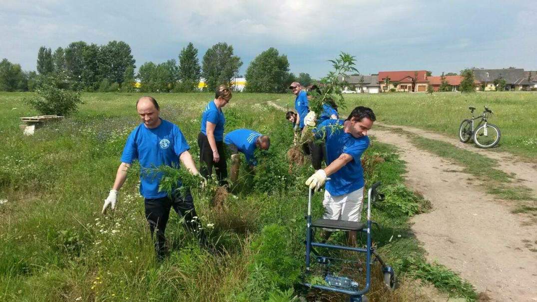 1045287730265656656161433793811