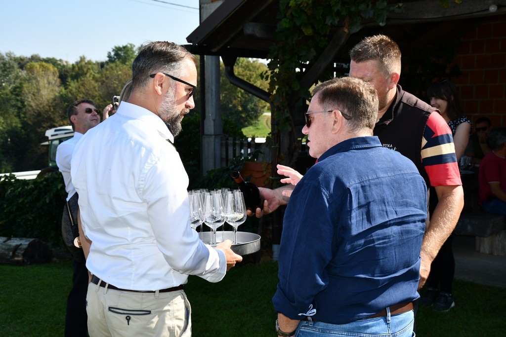 Vinarija Horvat, berba