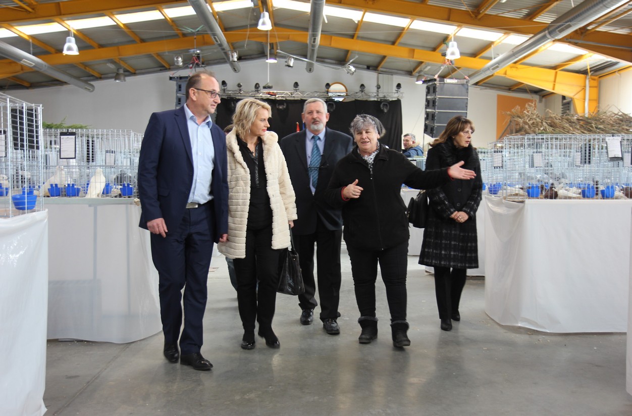 Otvorena izložba malih životinja u Nedelišću