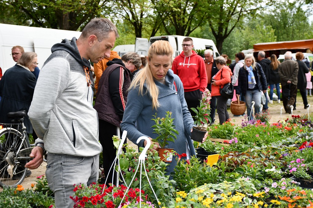 ČAKOVEČKI SAJAM SRIJEDOM Najveći interes i dalje vlada za presadnice