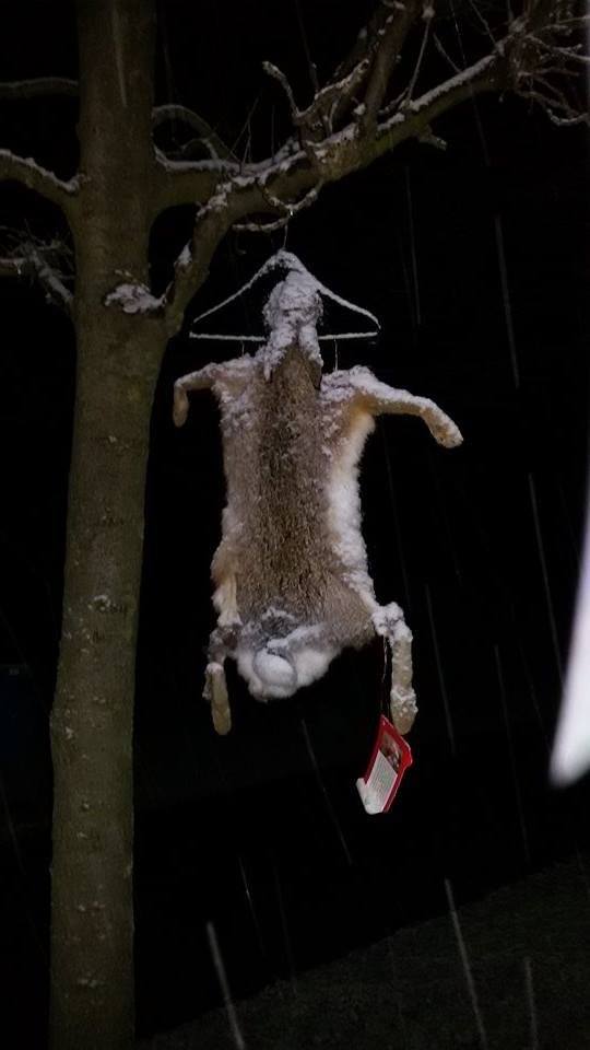 1088454619980354352374713901593