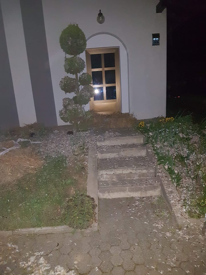 Potepalo se u Žabniku i Hlapičini za Ninu i Karla