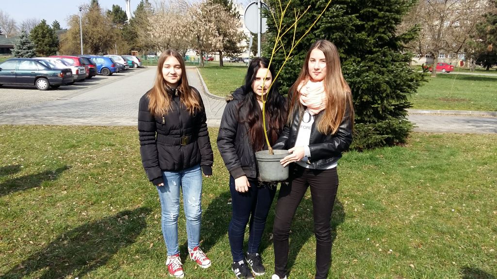 20160309125332746818