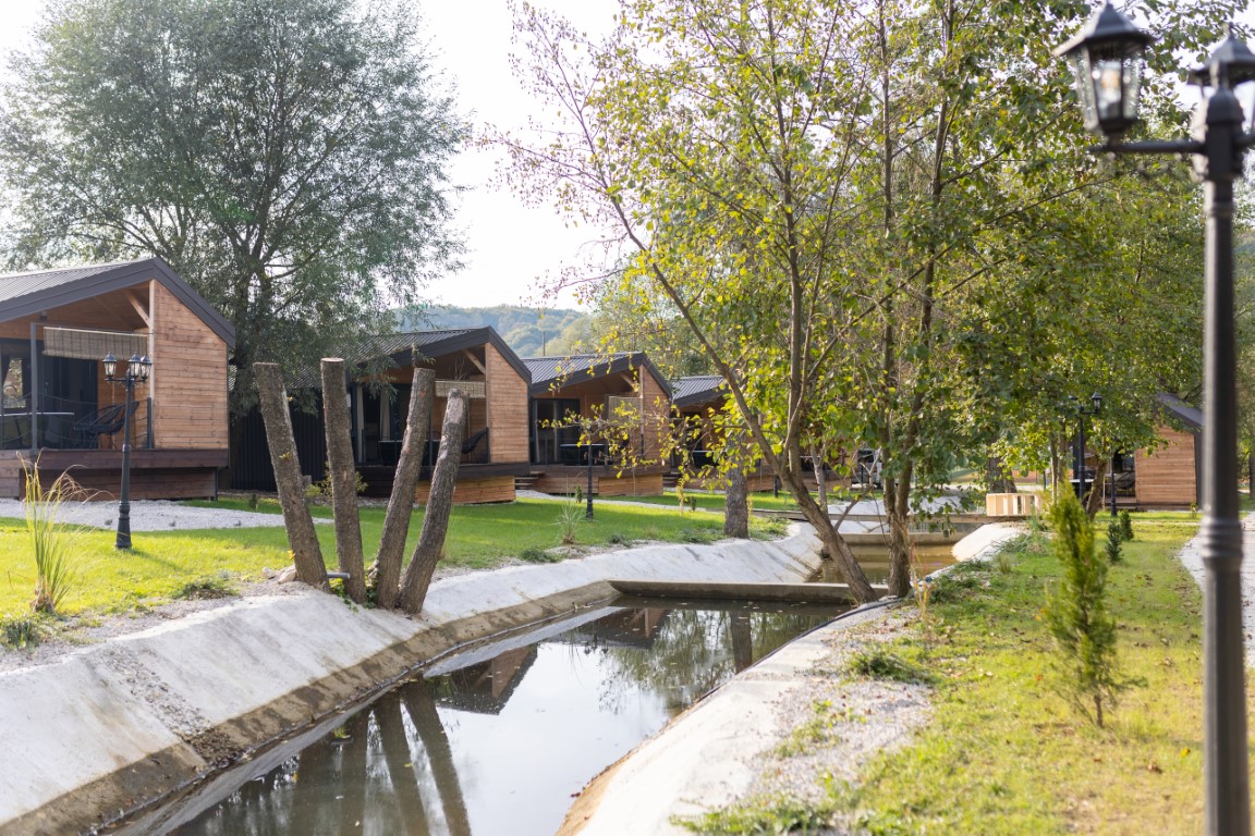 Image 5892321 (auto)