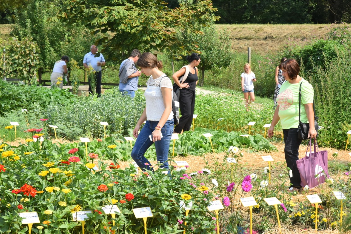 Image 5803643 (auto)