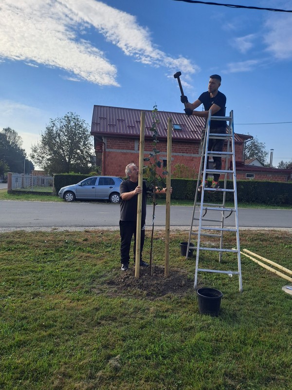 DONJI MIHALJEVEC Mještani ujedinjeni u sadnji drveća i bojanju igrala