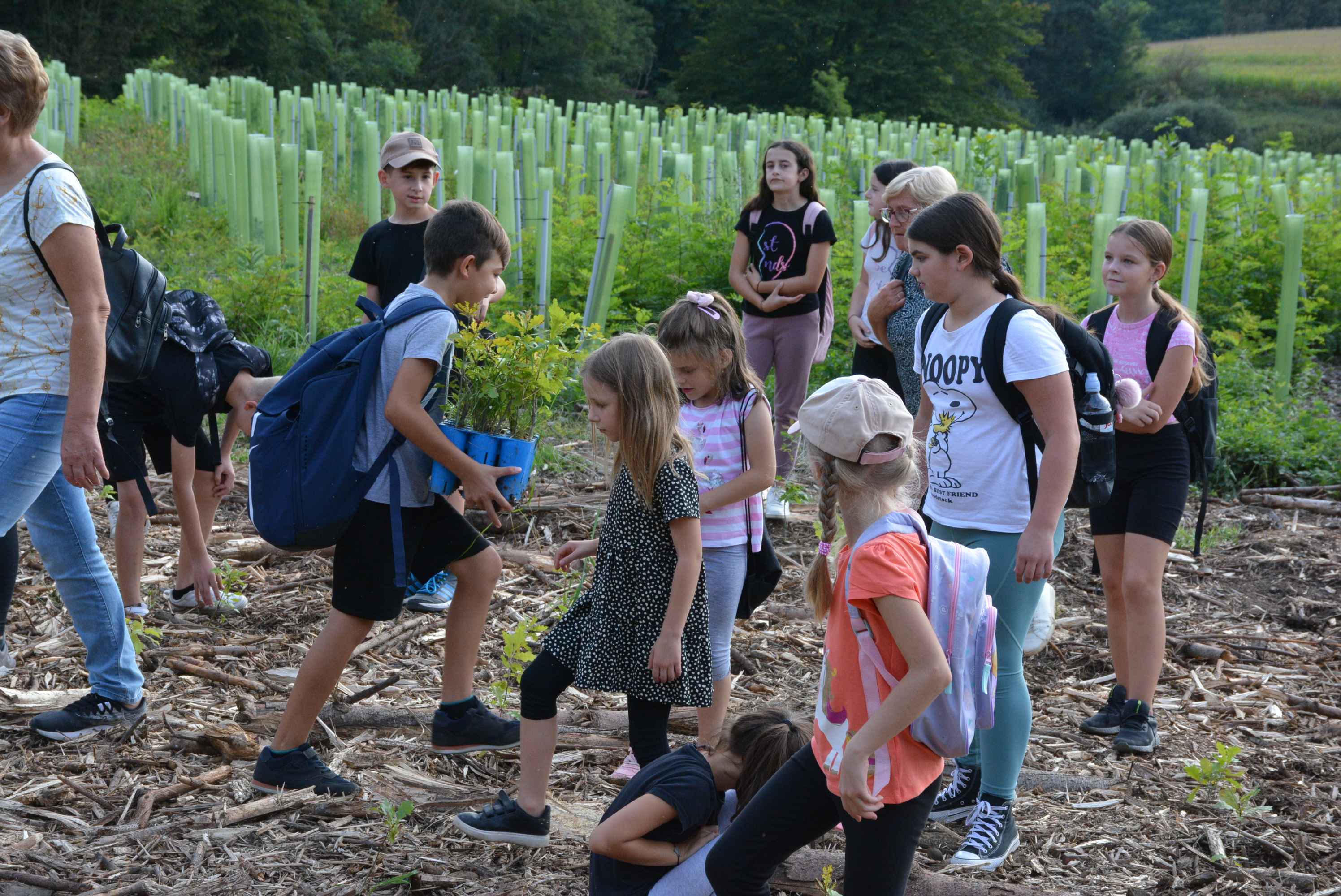 KNEZOVEC Održana velika akcija pošumljavanja u ogranizaciji tvrtke Sobočan