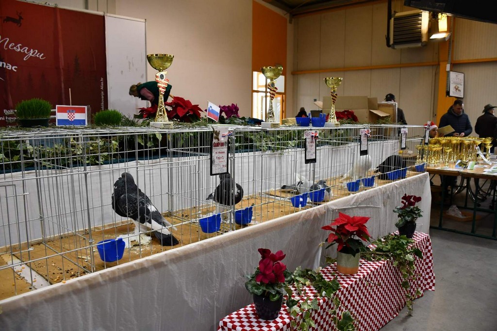 IZLOŽBA MALIH ŽIVOTINJA Izloženo preko tisuću malih životinja vrhunskih uzgajivača iz Hrvatske, ali i šire IZLOŽBA MALIH ŽIVOTINJA Izloženo preko tisuću malih životinja vrhunskih uzgajivača iz Hrvatske, ali i šire