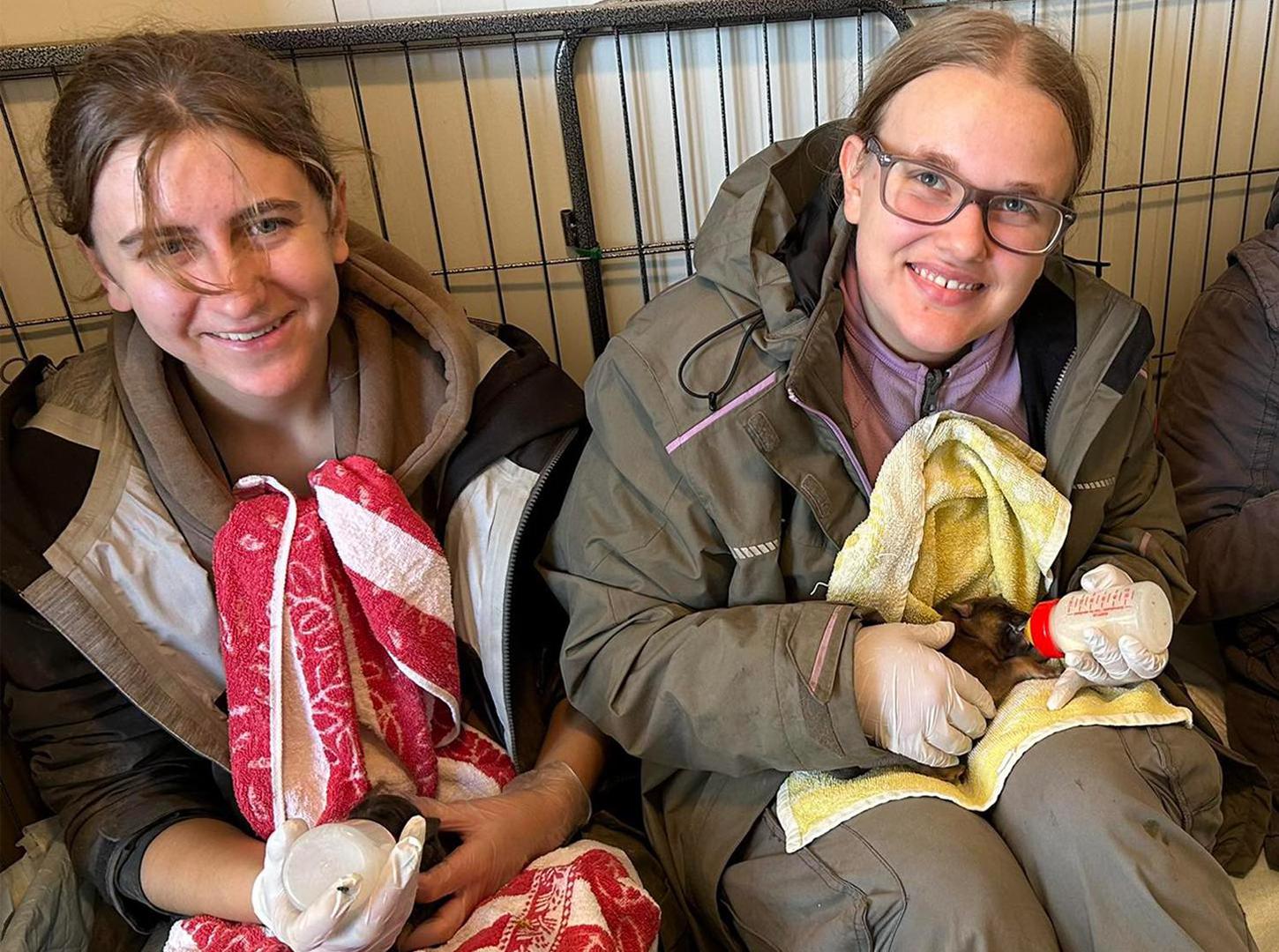 AZIL ‘PRIJATELJI’ ČAKOVEC Volonteri su im velika pomoć u skloništu, a stižu i iz Čilea