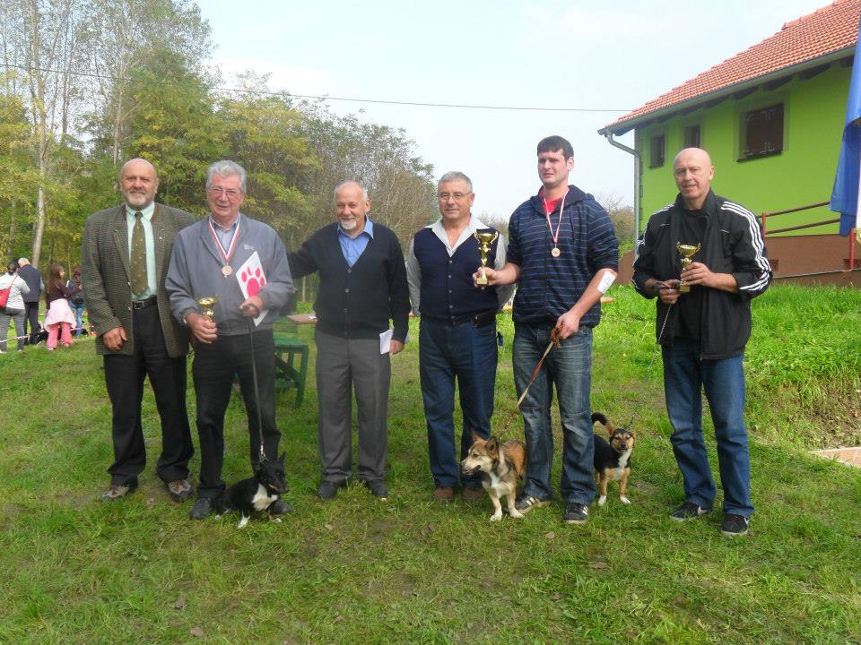 1031357432399962778328142629263