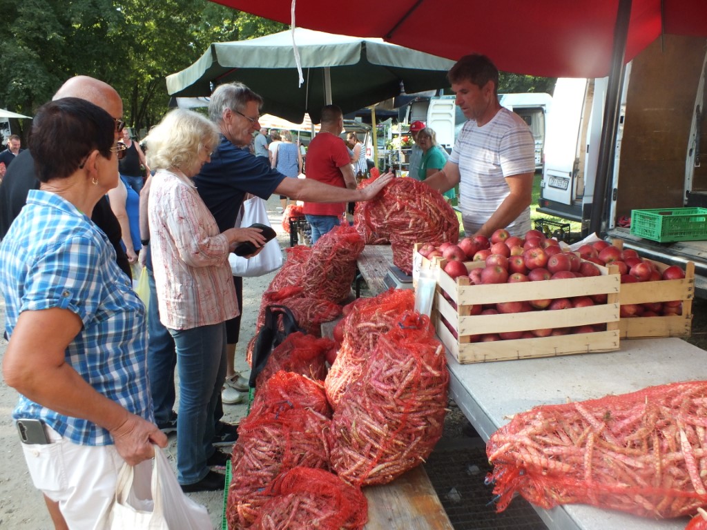 Image 5810887 (auto)