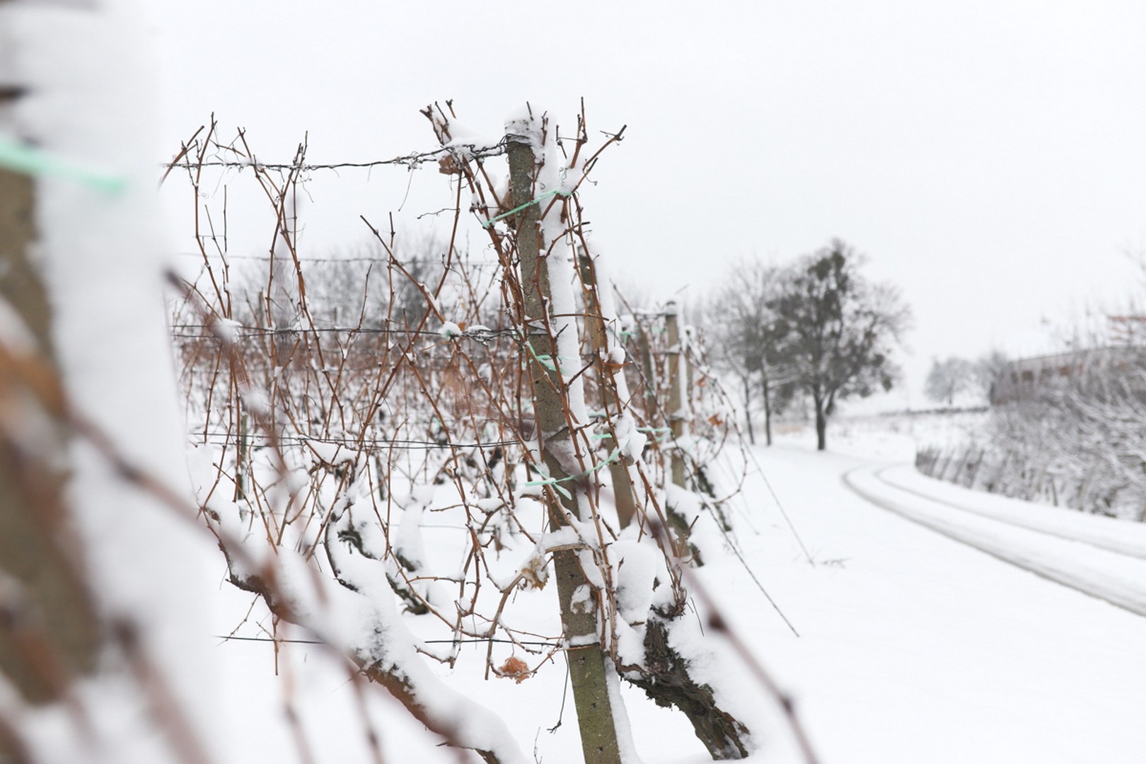 Mađerkin breg pokriven snijegom