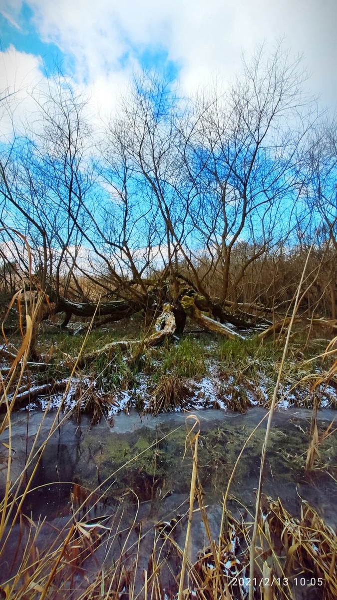 Zvonimir Habuš iz Kotoribe očarava fotografijama netaknute prirode