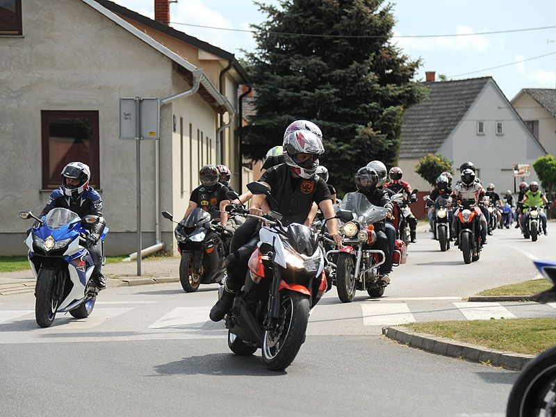 356515538dsc0997545584