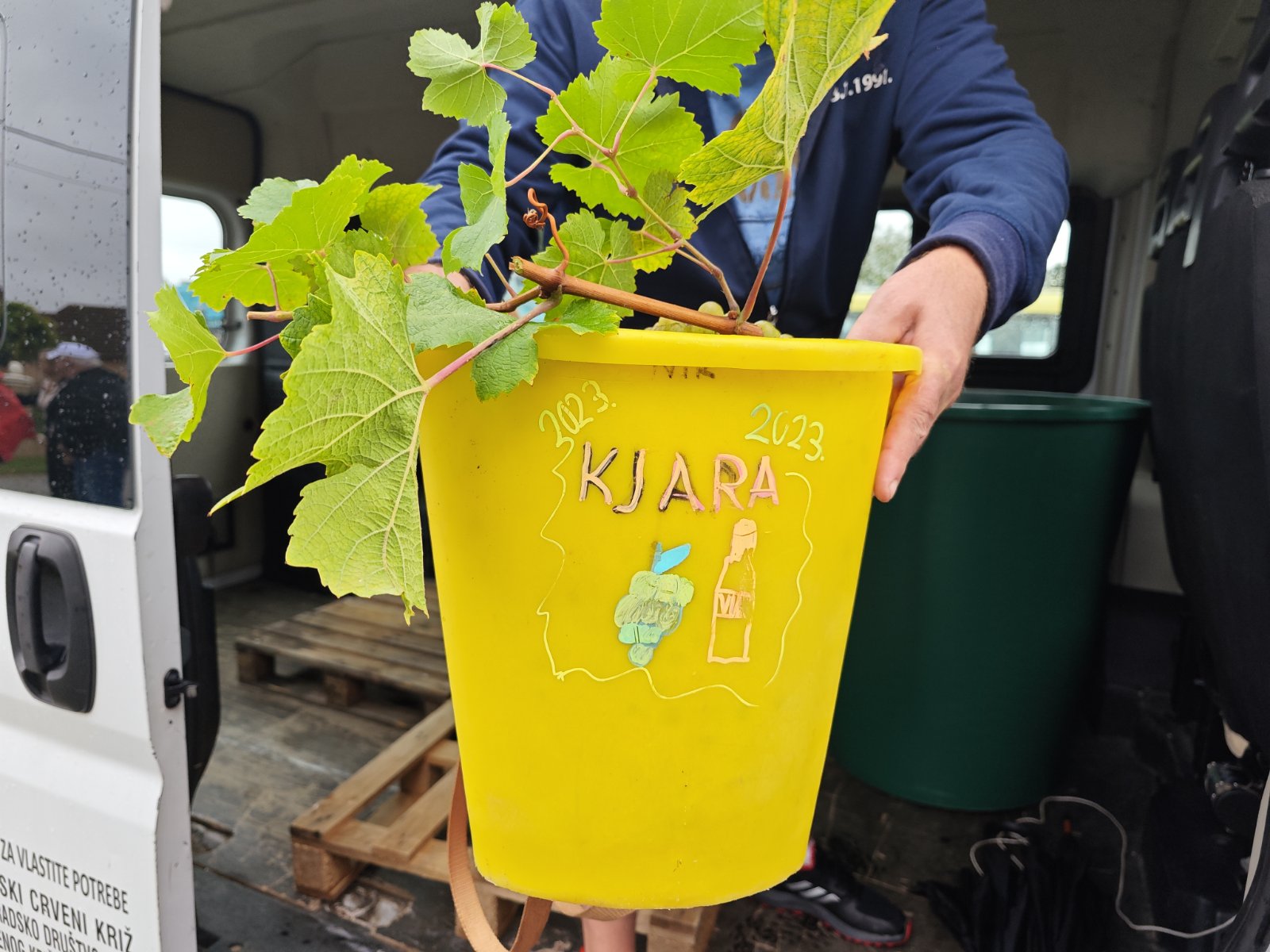 FOTO U ovogodišnjoj humanitarnoj akciji ‘Radio gorice za Katružu’ prikupljeno 260 kilograma grožđa i 1.050 eura