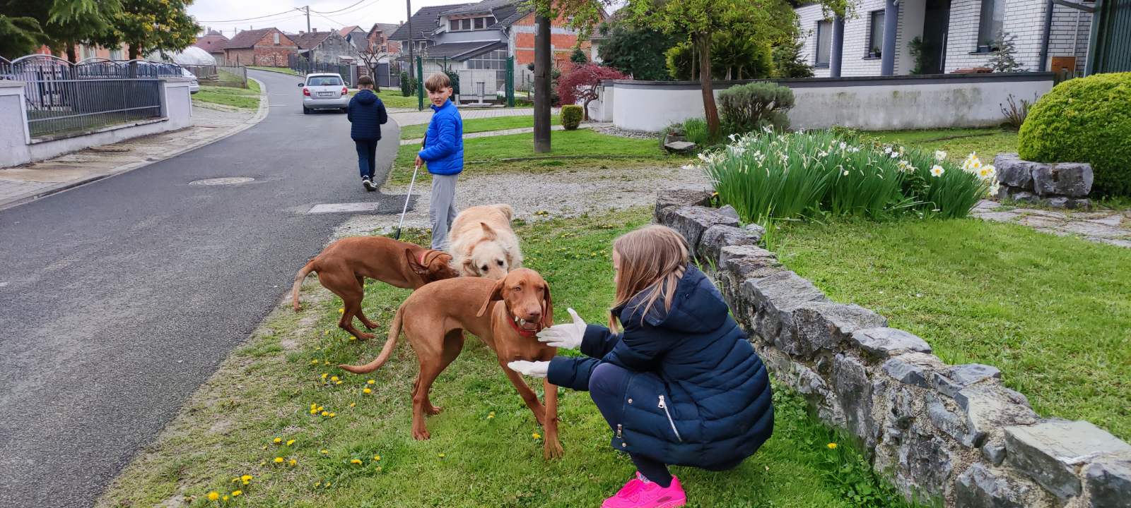 Održana Zelena čistka u Općini Šenkovec