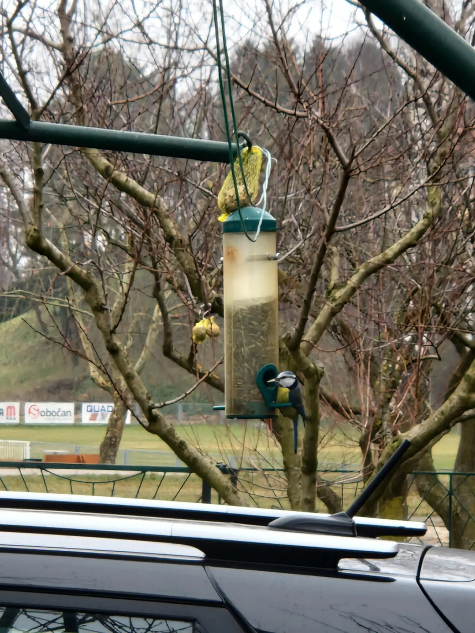 75ce46e0-d3e8-4401-b9f6-d9a307e4cc62