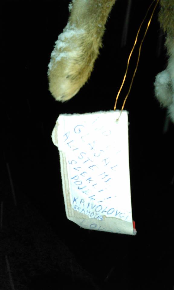 1898252199580430212725229243457