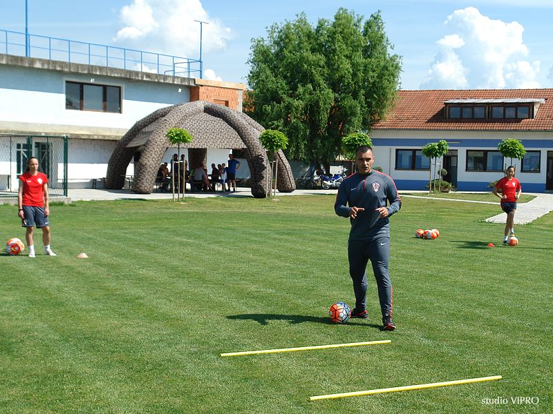 355215476dsc06560589667