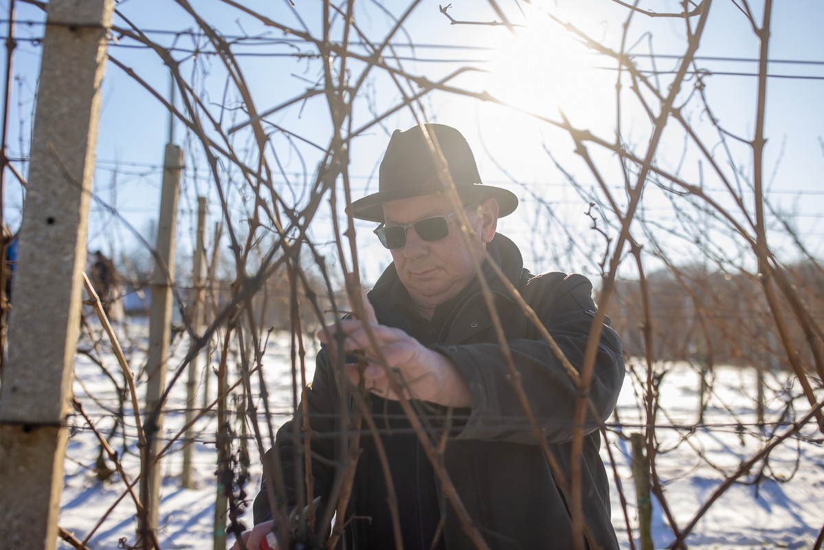 Vincekovo 2024., Štrigova Vincekovo 2024., Štrigova