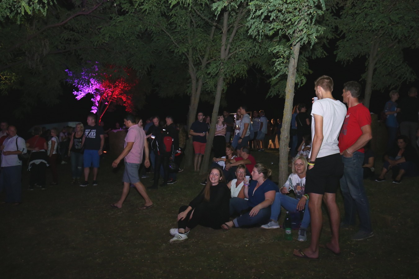 Odličan koncert Vatre u predivnom ambijentu Mađerkinog brega