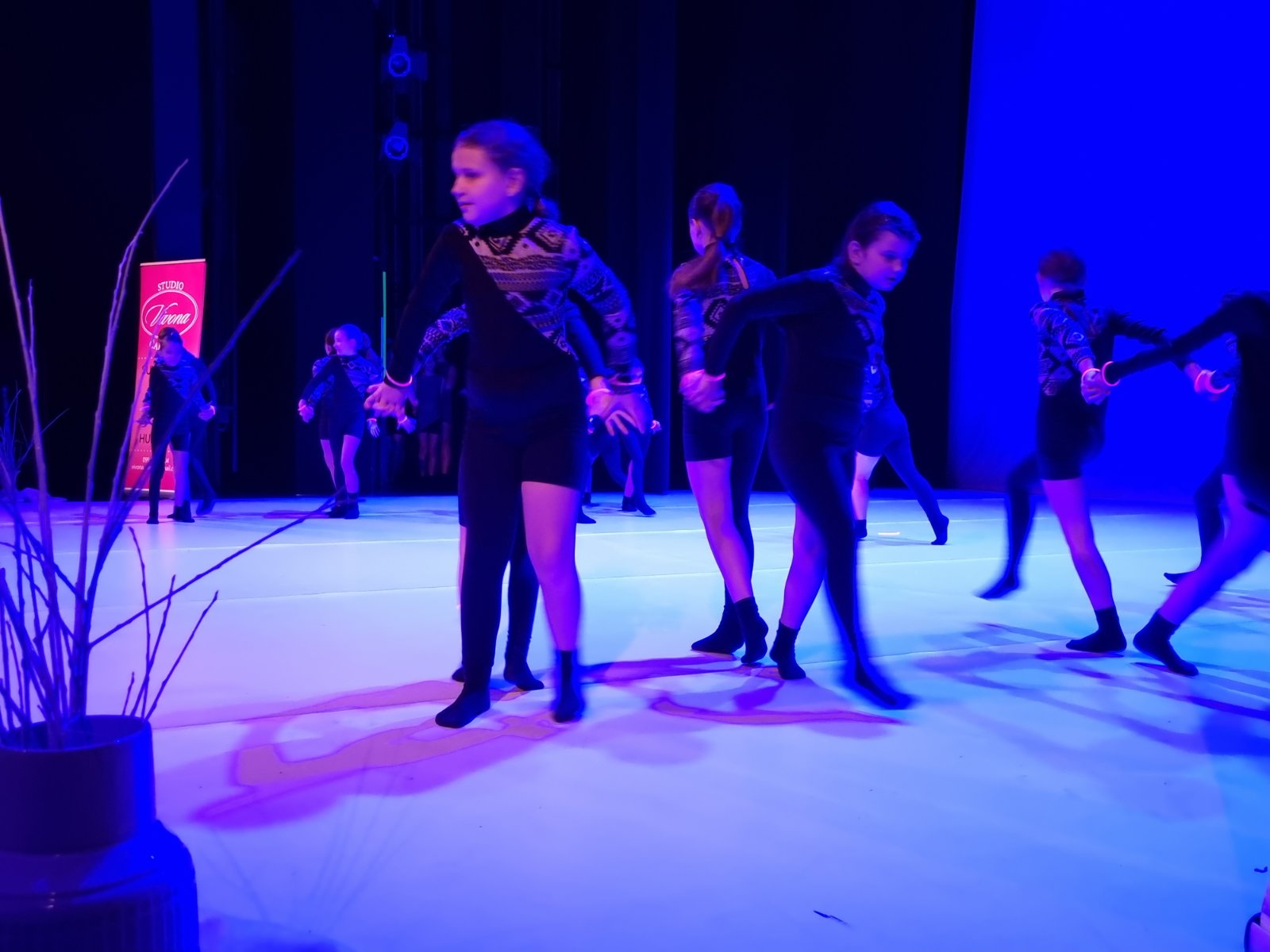 Zimska plesna produkcija