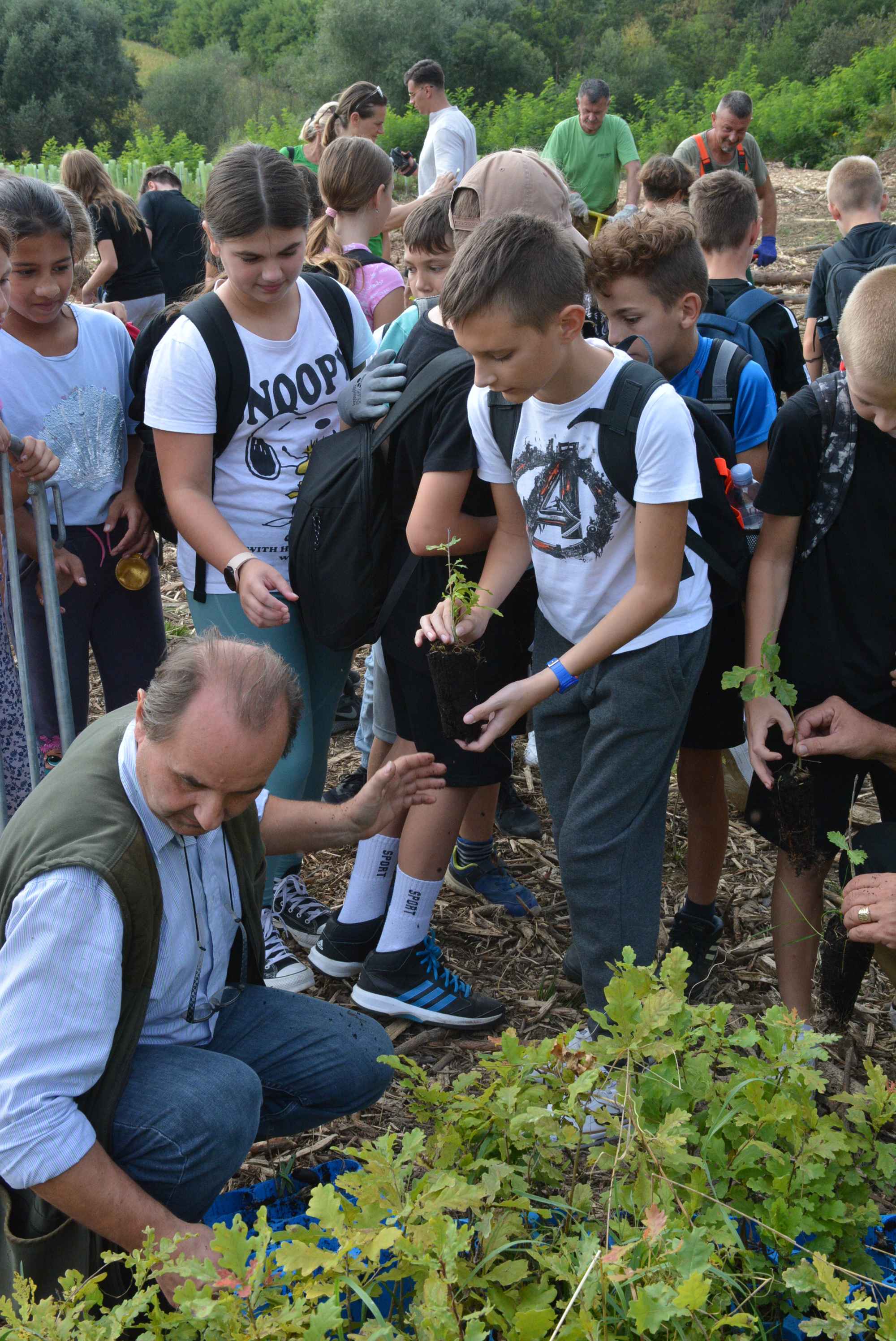 KNEZOVEC Održana velika akcija pošumljavanja u ogranizaciji tvrtke Sobočan